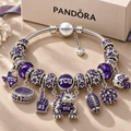 TCU Silver Charm Bracelet Set NTTB