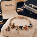 WLLE Rose Gold Charm Bracelet Set TMH