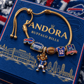 BFBL Silver Charm Bracelet Set NTVA