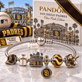 SDP Silver Charm Bracelet Set NHVH