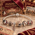 FSS Silver Charm Bracelet Set PTKL