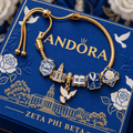 ZPB Silver Charm Bracelet Set NTVA
