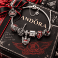 AER Silver Charm Bracelet Set PTT