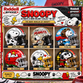 Premium SPNY Mini Helmet Collection LNTH