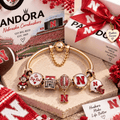 NCH Gold Charm Bracelet Set TTN