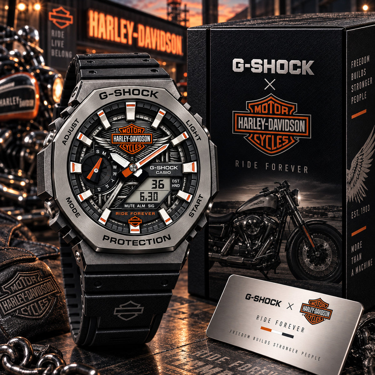 HLDV Premium Dial Collector Watch TTNL