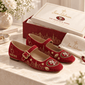 PREMIUM SF49 Mary Jane flats BMD
