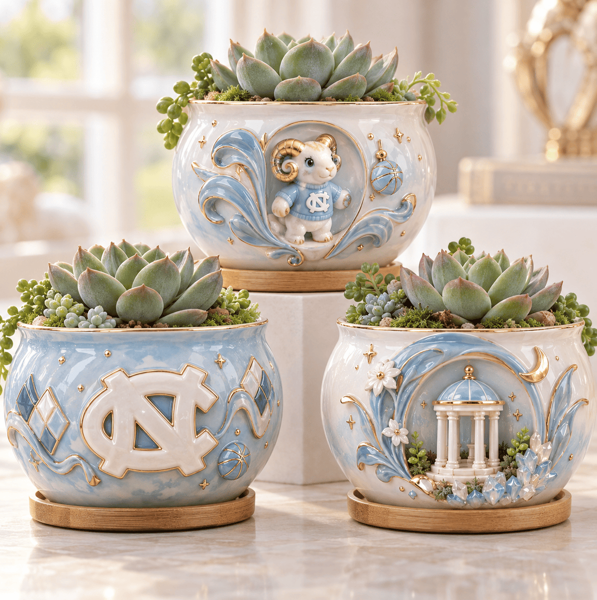 UNC 3-Piece Succulent Planter Set HTTT
