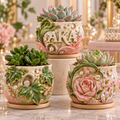 AKA 3-Piece Succulent Planter Set HTTT