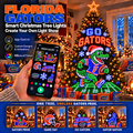 FGT Smart Christmas Tree Lights TMH